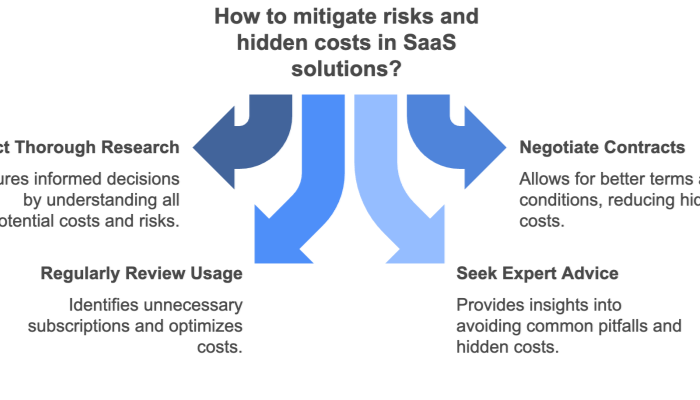 saas potential risks and hidden costs