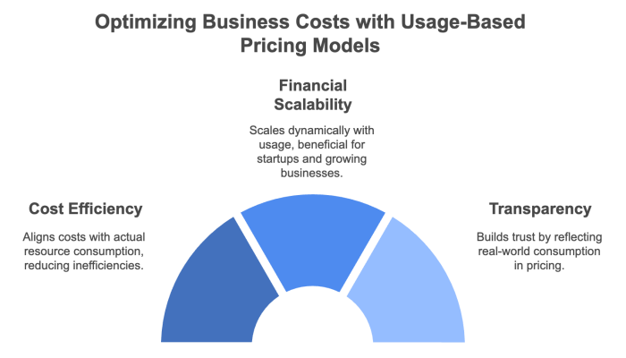 Optimizing Business Costs with Usage-Based Pricing Models