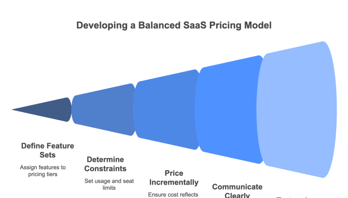 Developing a Balanced SaaS Pricing Model