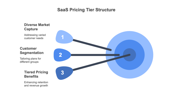 SaaS Pricing Tier Structure
