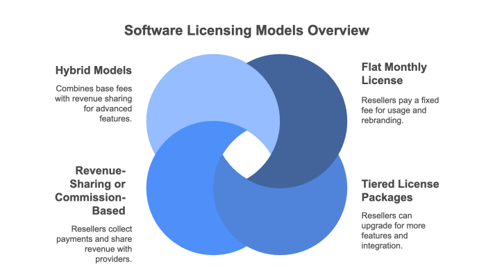 Software Licensing Models Overview