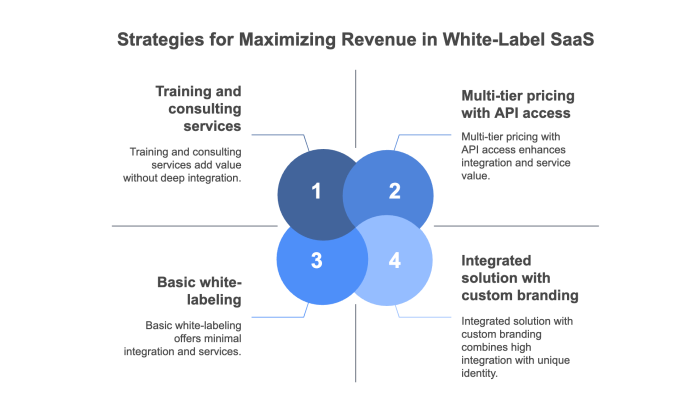 Strategies for Maximizing Revenue in White-Label SaaS
