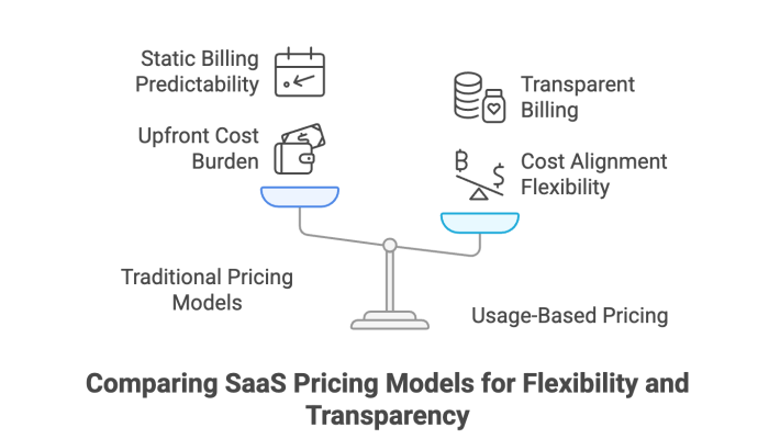 Comparing SaaS Pricing Models for Flexibility and Transparency