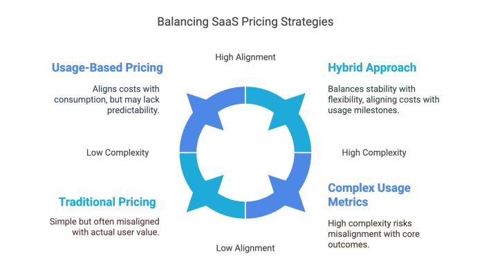 Balancing SaaS Pricing Strategies