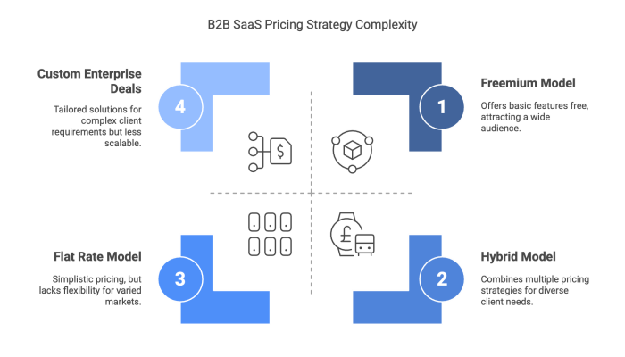 B2B SaaS Pricing Strategy Complexity