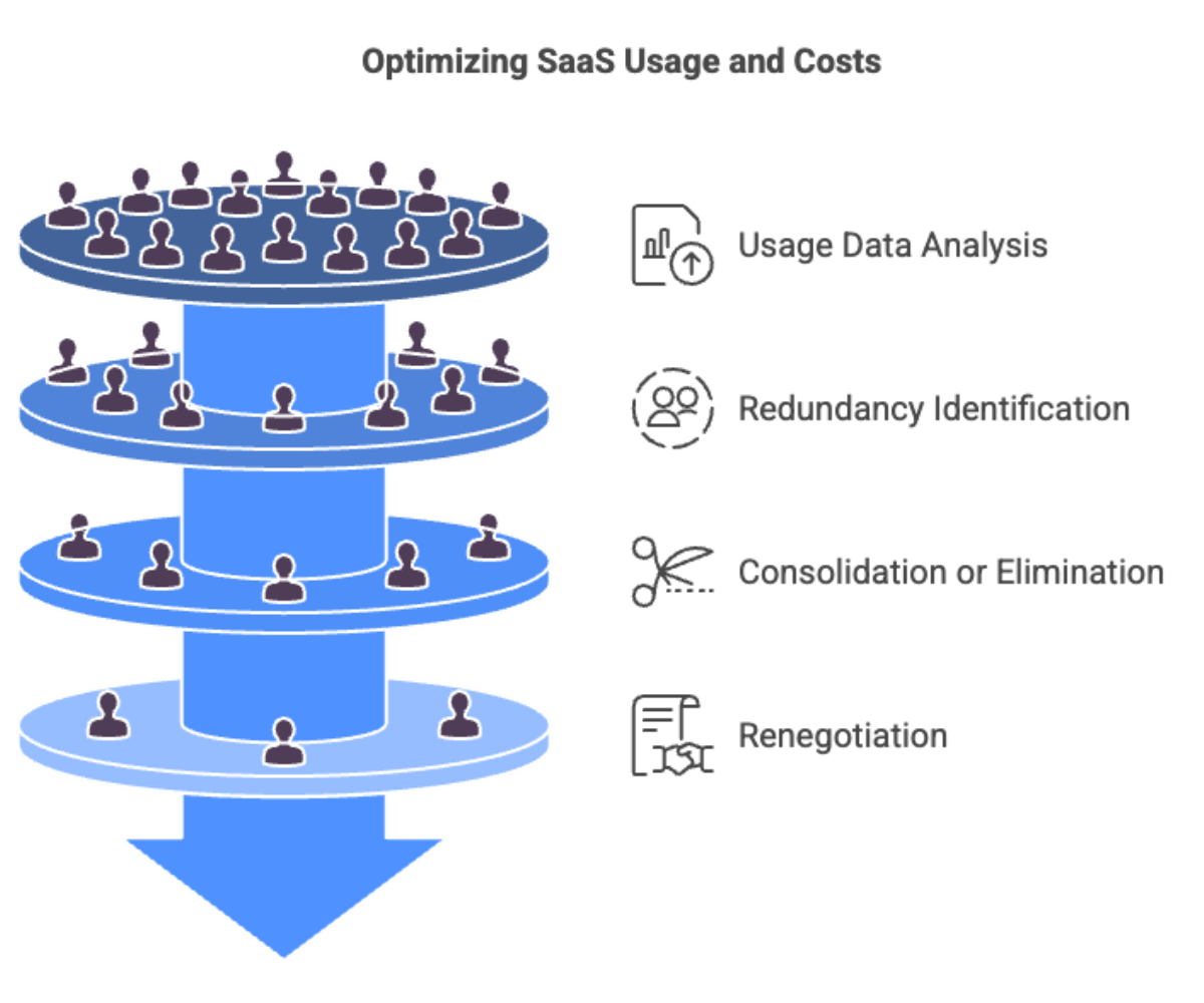 Optimizing SaaS Usage and Costs