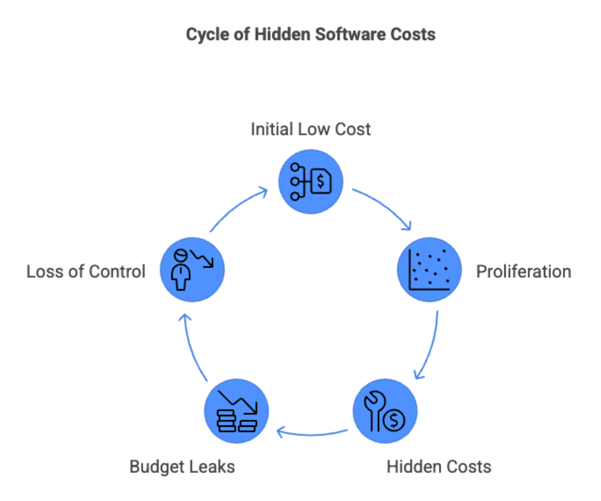 Cycle of Hidden Software Costs