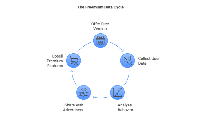 The Freemium Data Cycle