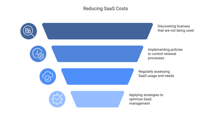 Reducing SaaS Costs