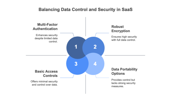 Balancing Data Control and Security in SaaS