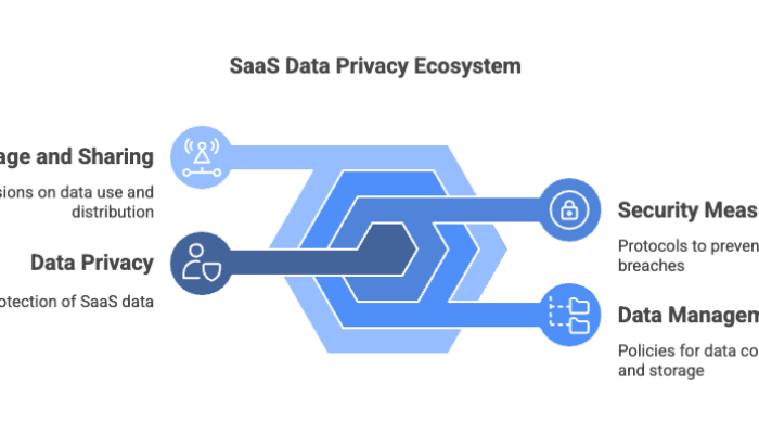 SaaS Data Privacy Ecosystem
